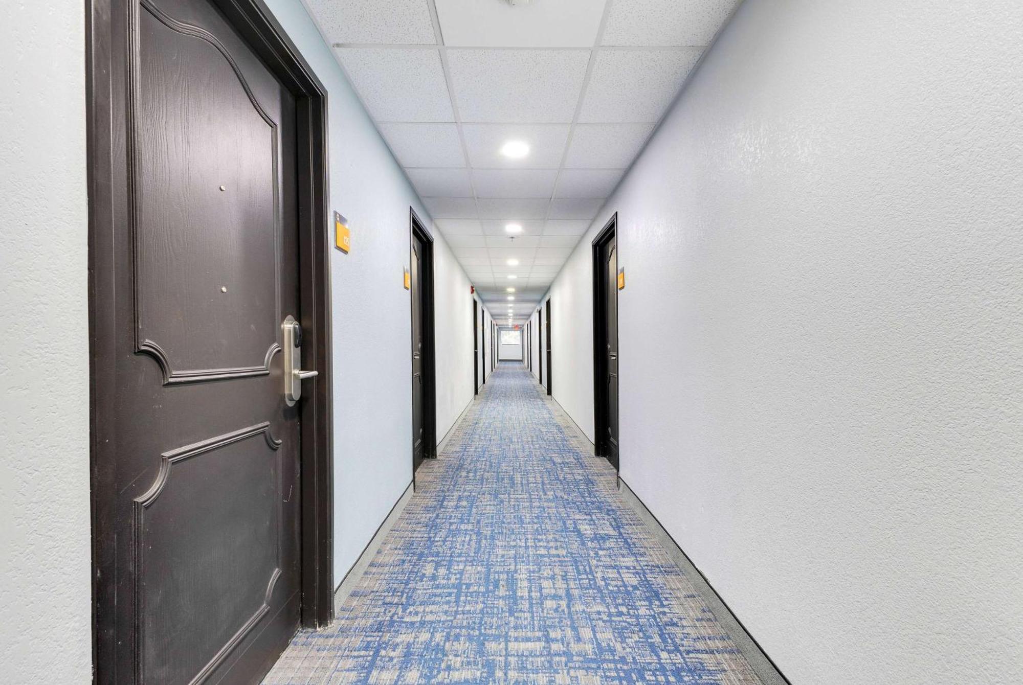 La Quinta Inn & Suites By Wyndham Jacksonville Mandarin Ngoại thất bức ảnh